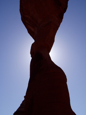Hidden Nature- Arches National Park Delicate Arch